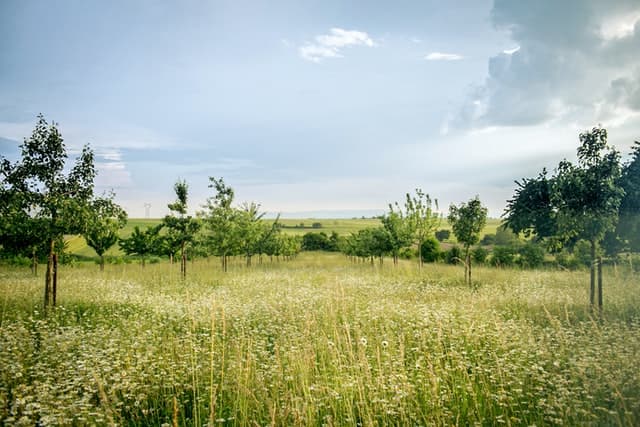 Des mines de lithium en France, une opportunité